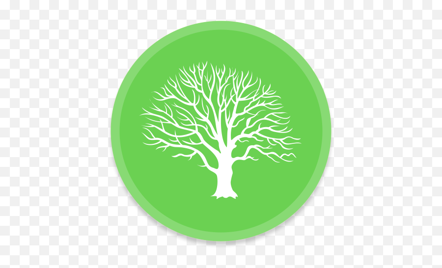 Mac Family Tree Free Icon Of Button - Green Tree Png Icon,Tree Icon Png