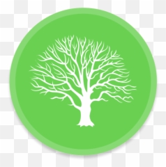 Mac Family Tree Free Icon Of Button - Green Png