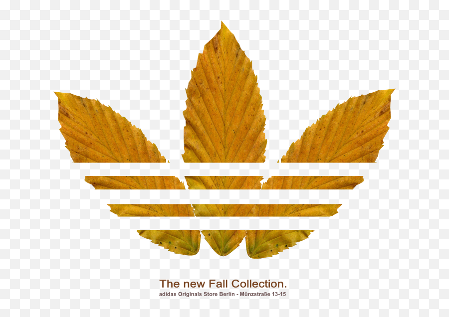 Logo De Adidas - Logo Adidas Png,Logo Adidad