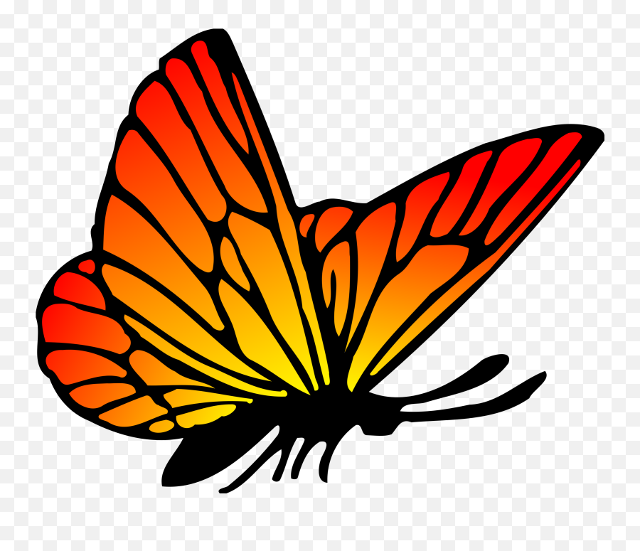 Butterfly Vector Clipart Transparent Png