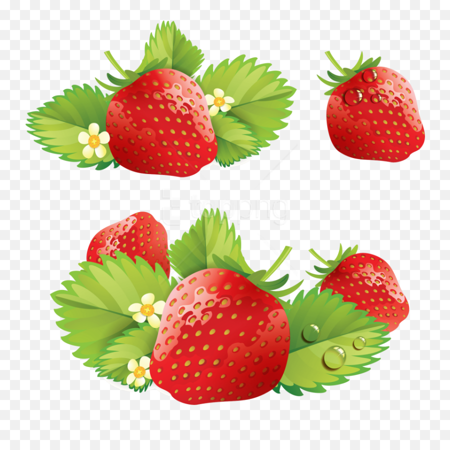 Download Hd Free Png Strawberry Clipart Photo - Church Sao Judas,Strawberry Clipart Png