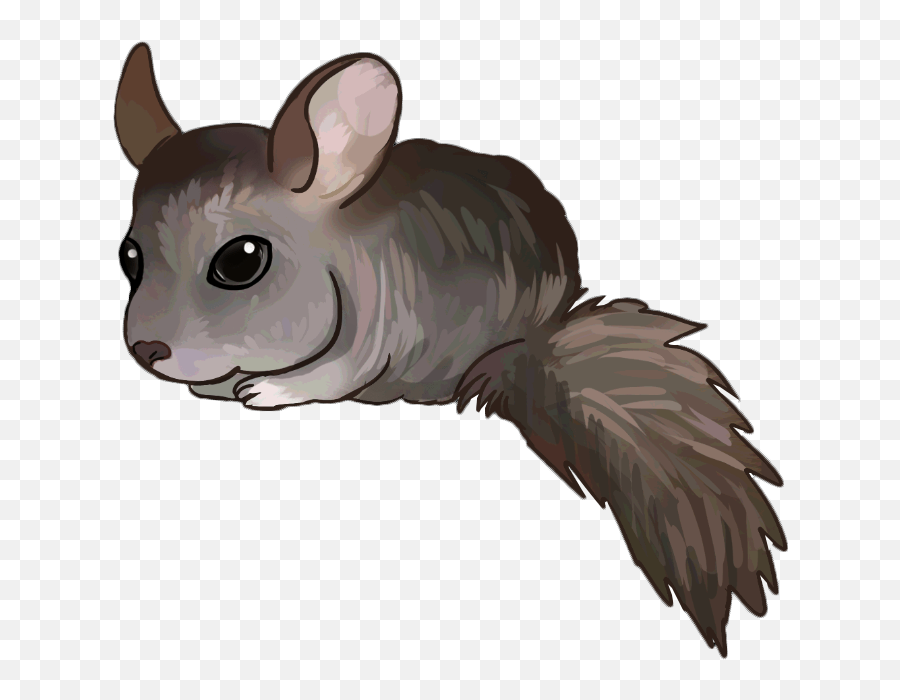 Alejandro The Chinchilla Zombies Run Wiki Fandom - Rat Png,Chinchilla Png