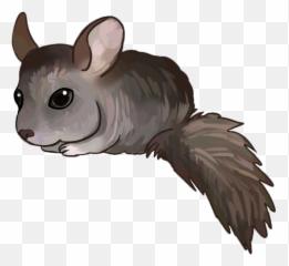 Alejandro The Chinchilla Zombies Run Wiki Fandom - Rat Png,Chinchilla Png