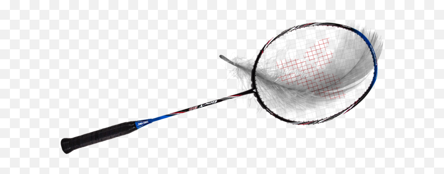 How To Choose The Right Badminton Racket Beginner Weight - Yang Yang Badminton Lightweight Racket Png,Badminton Racket Png