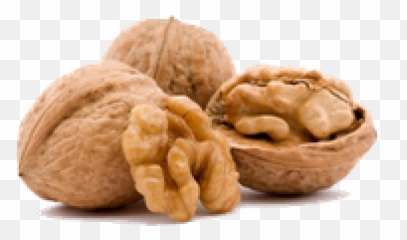 Walnut Png And Vectors For Free - Walnut Whole,Walnut Png