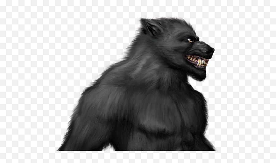 Download Hombre Lobo - Werewolf Png Transparent Background,Werewolf Transparent