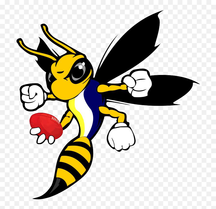 Download Cartoon Hornet - Hornet Transparent Png,Hornet Png