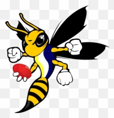 Download Cartoon Hornet - Hornet Transparent Png,Hornet Png
