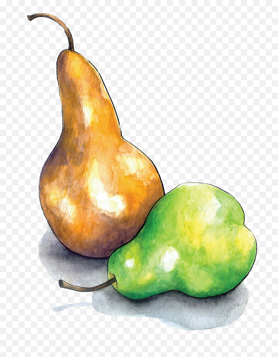 Pears - Pear Dots Drawing Png,Pears Png