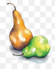 Pears - Pear Dots Drawing Png,Pears Png