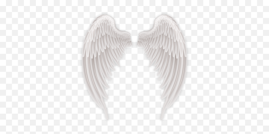 Bird Angels Wings Png - Transparent Photo Image Free Transparent Hd Angel Wings Png,Angel Png Transparent