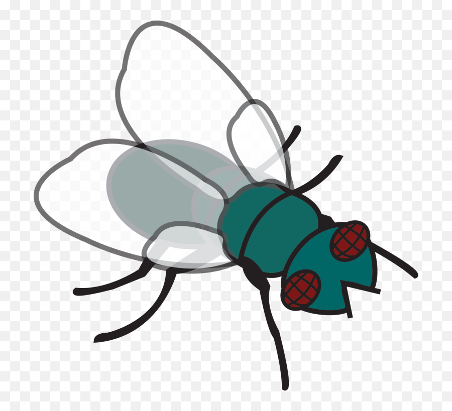 Pin Fly Clipart - Clipart Of Fly Full Size Png Download Fly Clipart,Fly Png