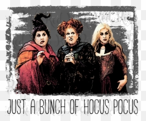 Bunch Of Hocus Pocus - Hocus Pocus Sanderson Sisters Png,Hocus Pocus Png
