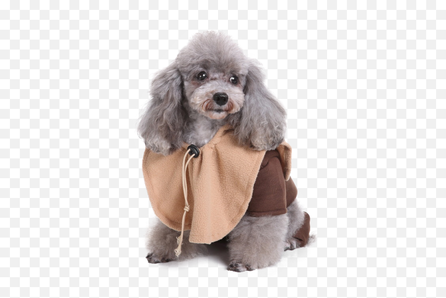 Star Wars Ewok Dog Costume Sc 1 St Pet - Costume Png,Ewok Png