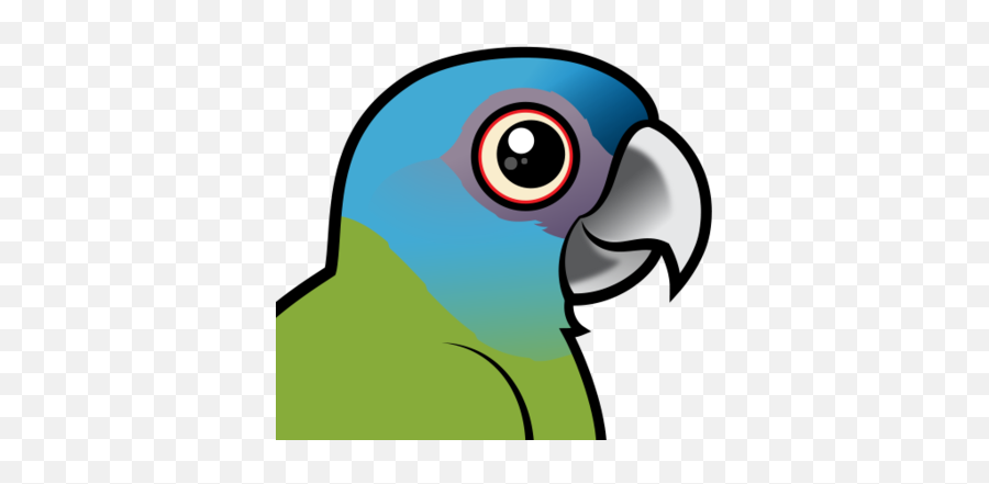 Read About The Mini Macaw Species Blue - Headed Macaw Macaw Png,Macaw Png