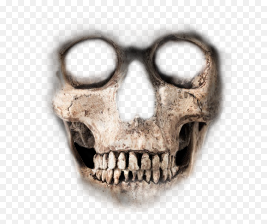 Skeleton Face Transparent Png Clipart - Skull Face Transparent Background,Skull Face Png