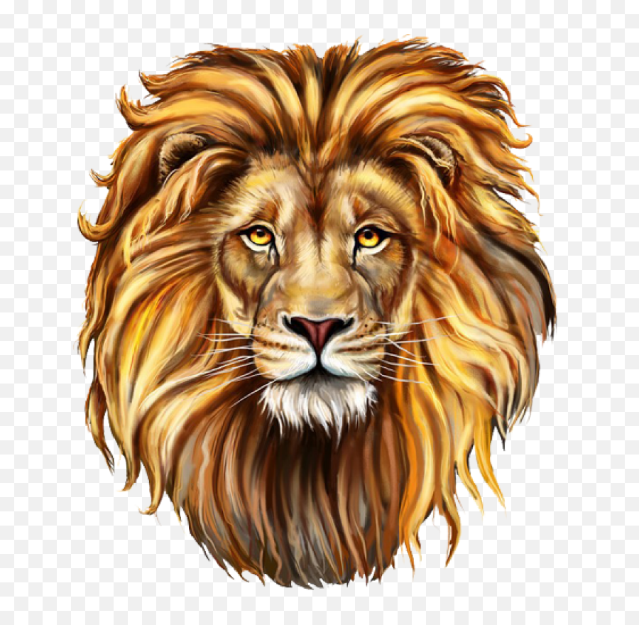 Download Lion Png Image For Free - Lion Png,Lion Roar Png