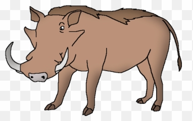 Common Warthog - Wildlife Animal Pedia Png,Warthog Png