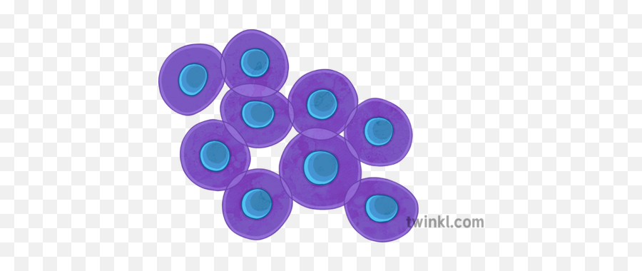 Cells Illustration - Dot Png,Cells Png