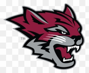 Athletics Wildcat - Frostburg State University Mascot Full Chico State Wildcat Png,Wildcat Png
