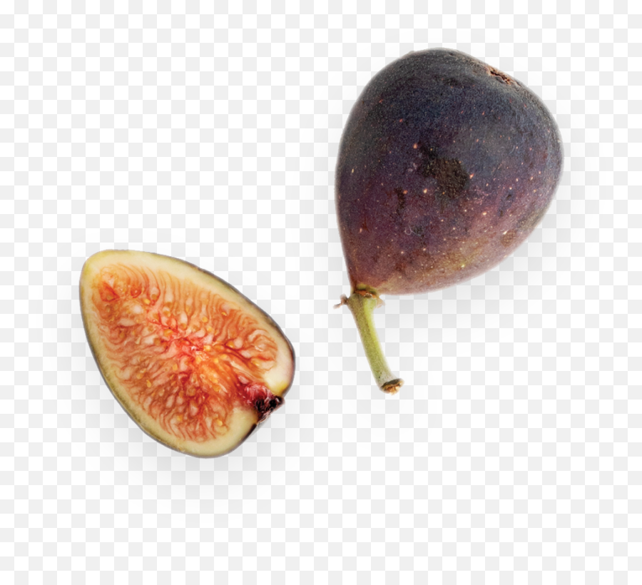 Letu0027s Eat Philly - Superfood Png,Fig Png