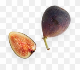 Letu0027s Eat Philly - Superfood Png,Fig Png