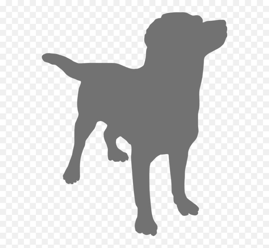 All Too Often You May Come Across An Advert In Your - Dog Silhouette Dog Clipart Transparent Background Png,Advert Icon