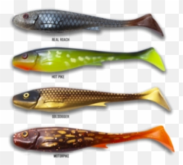Fishing Tackle Ireland - Cypriniformes Png,Leeda Icon Tripod