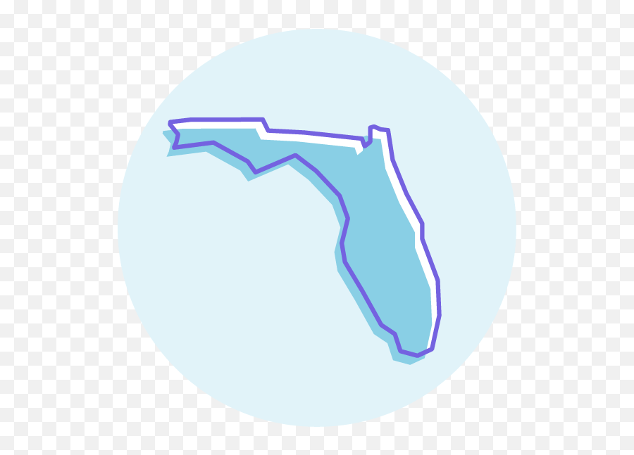 Medicare Advantage In Florida - Language Png,Eligibility Icon