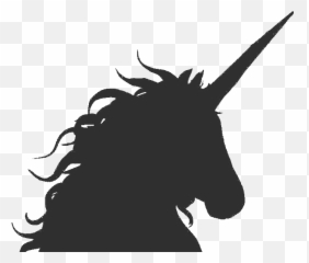 Ariel Ávila - Unicorn png
