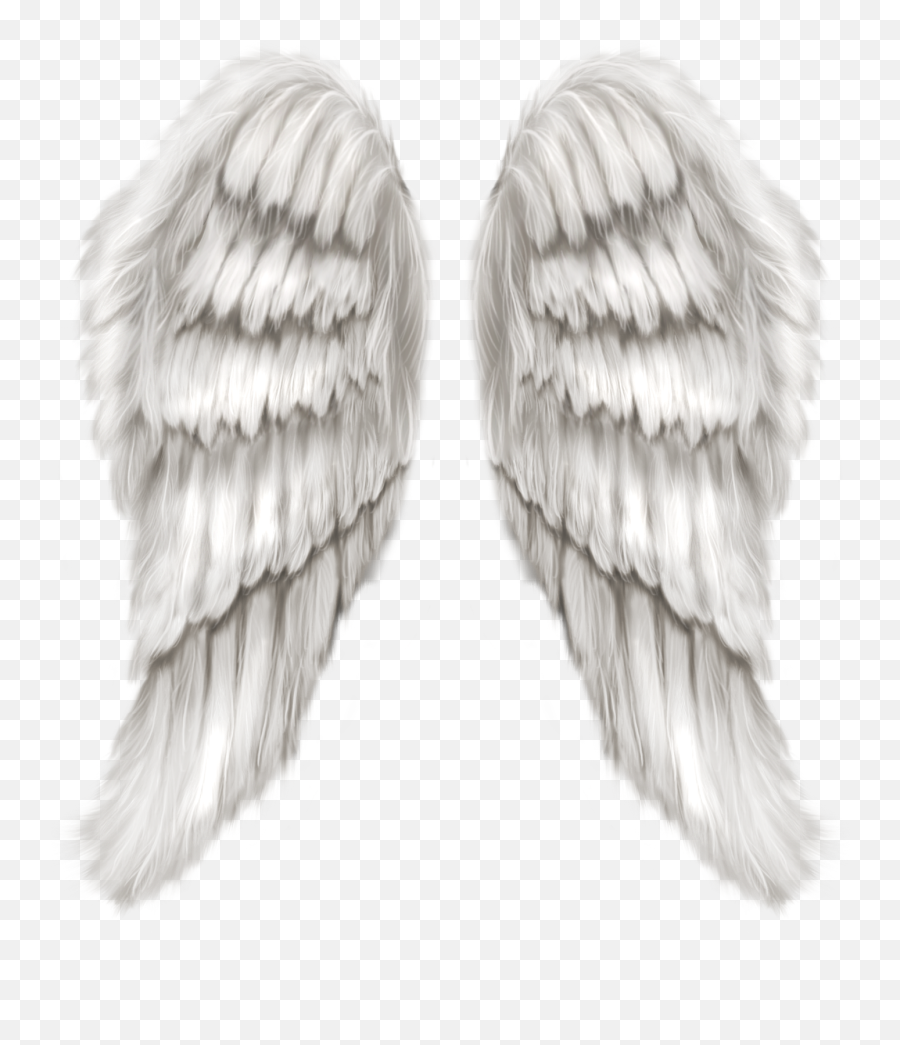 Angel Wings Png - Realistic Angel Wings Clip Art,Wings Png Transparent