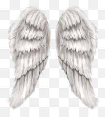 Angel Wings Png - Realistic Angel Wings Clip Art,Wings Png Transparent