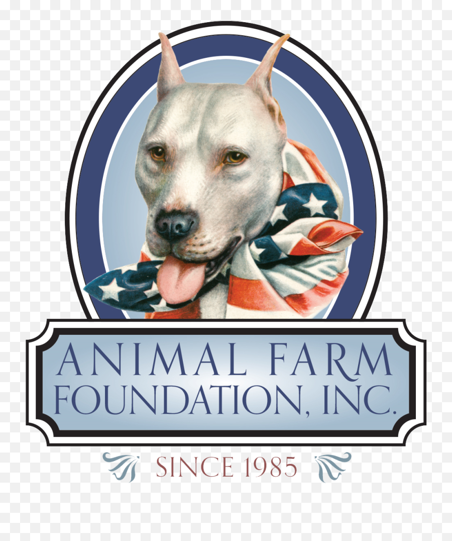 Socially Conscious Sheltering Might Not Be So - Animal Farm Foundation Png,Pit Bull Icon