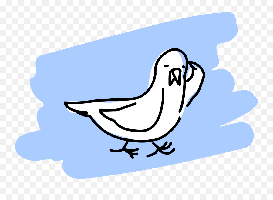 Download Free Png Seagull - Dlpngcom Clip Art,Seagull Png