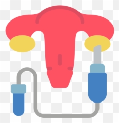 Vagina - Free healthcare and medical icons Vertical png