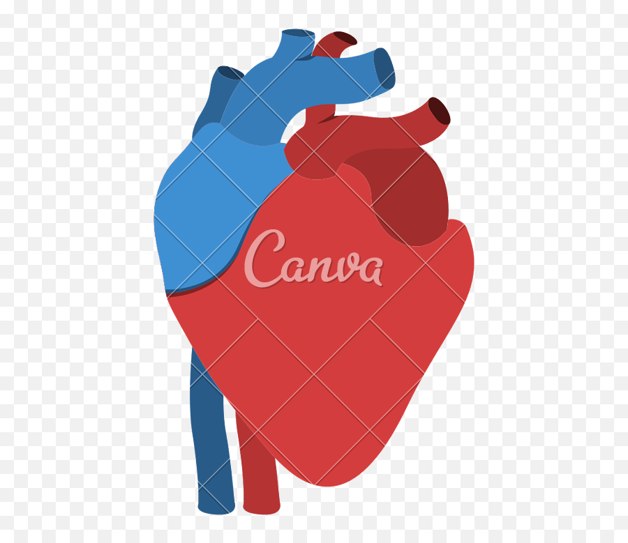 Transparent Human Heart Clipart - Free Heart Organ Vector Png,Heart Icon Vector Free Download