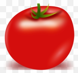 Tomato Clipart Png 2 Image - Tomato Vector Png,Tomato Clipart Png