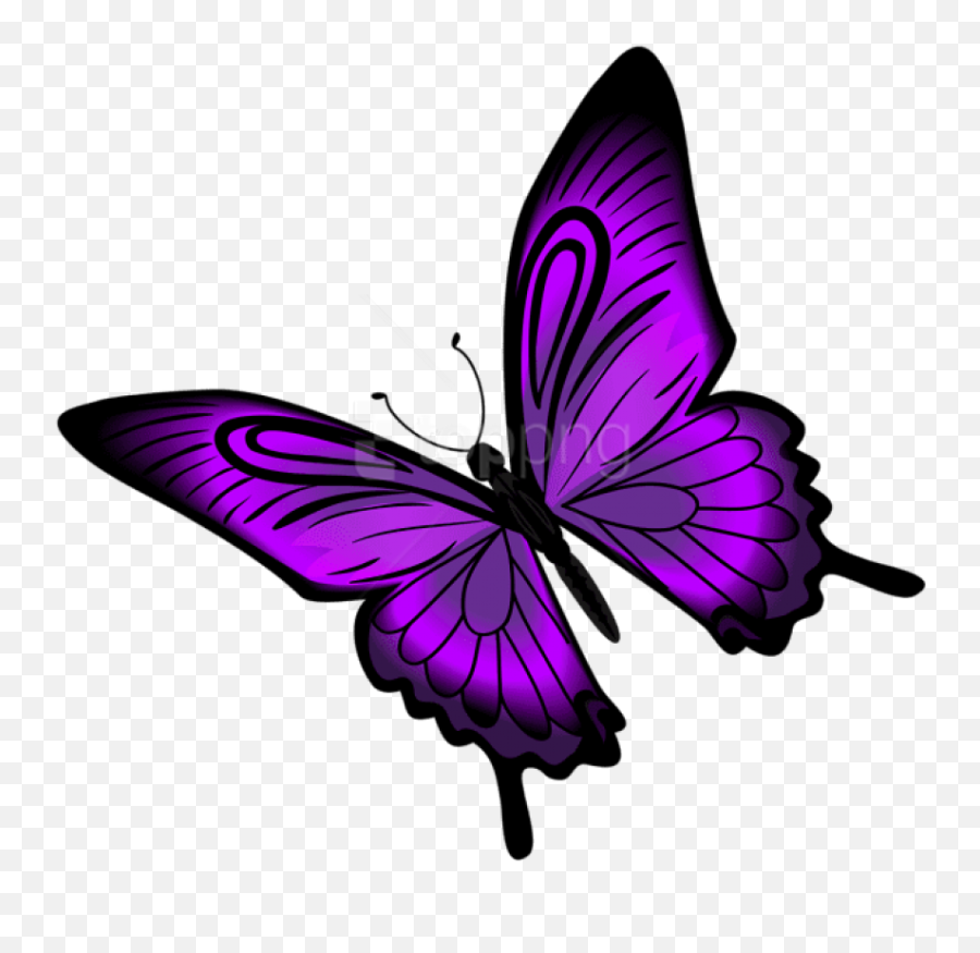 Download Hd Free Png Purple Butterfly Clipart - Purple Butterfly Clip Art,Butterfly Png Clipart
