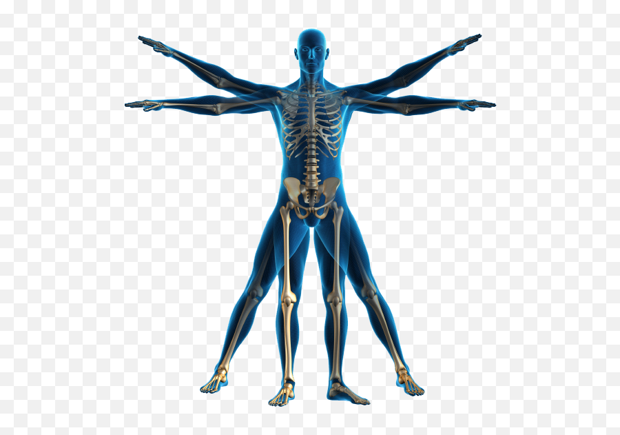 Body Png Image File - Human Body Png,Body Png