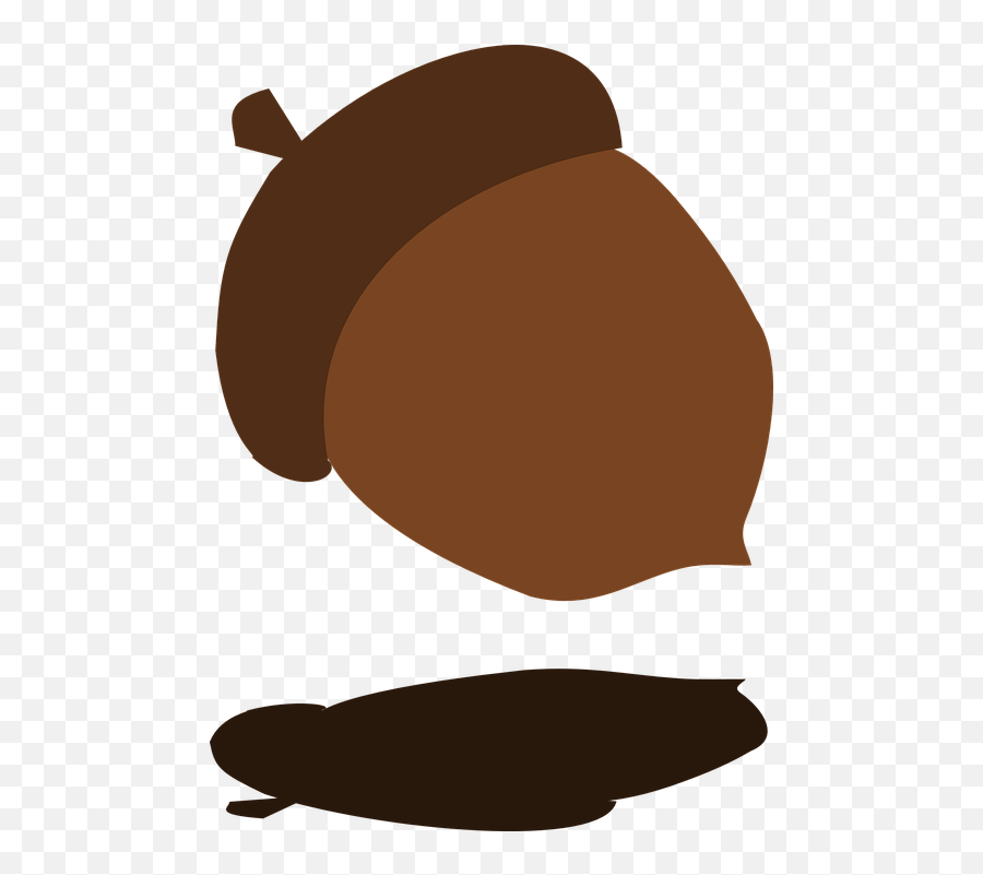 Fall Tree Acorn Shadow Falling Harvest Autumn - Acorn Svg Mlp Acorn Cutie Mark Png,Acorn Transparent Background