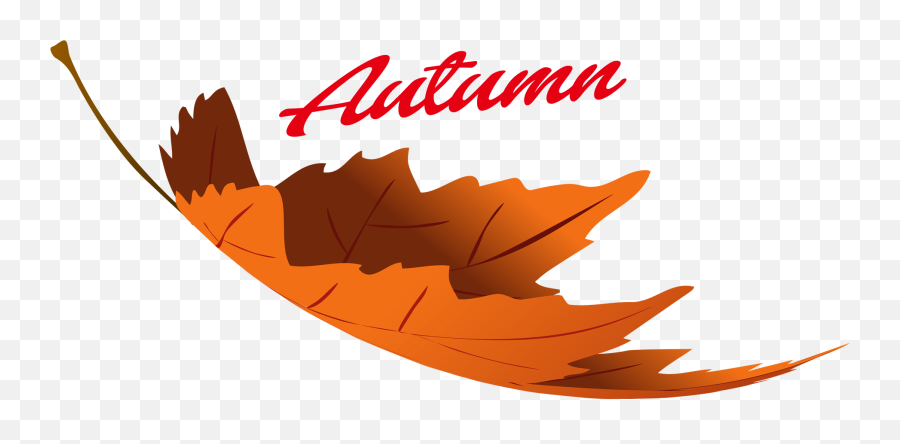 Download Hd Autumn Leaves Png Image - Autumn Leaves Png Clipart,Autumn Leaves Png