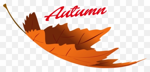 Download Hd Autumn Leaves Png Image - Autumn Leaves Png Clipart,Autumn Leaves Png