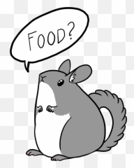 Freelance Illustrator Cartoon Style Jeanettemoka - Cartoon Png,Chinchilla Png