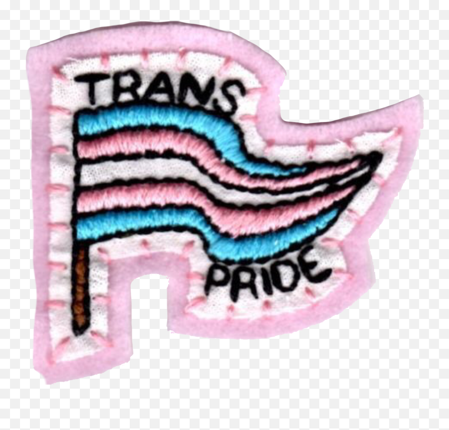 Download Hd Homem Trans Pride - Aesthetic Trans Pride Flag Png,Pride Flag Png