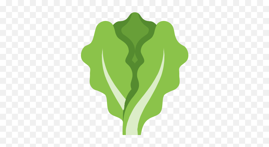 Lettuce Icon - Lettuce Icon Png,Lettuce Png