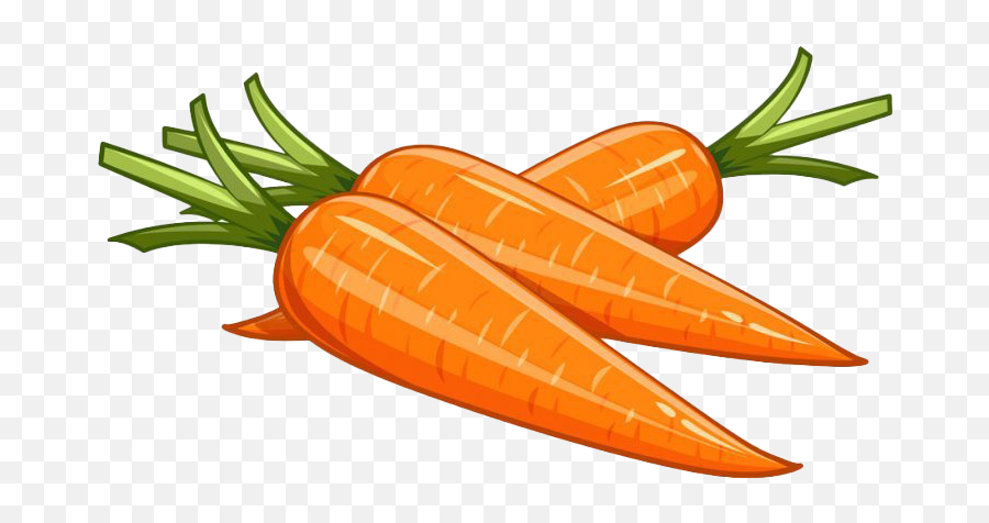 Vector Carrot Png Picture - Carrot Vector,Carrot Png - free transparent png  images 