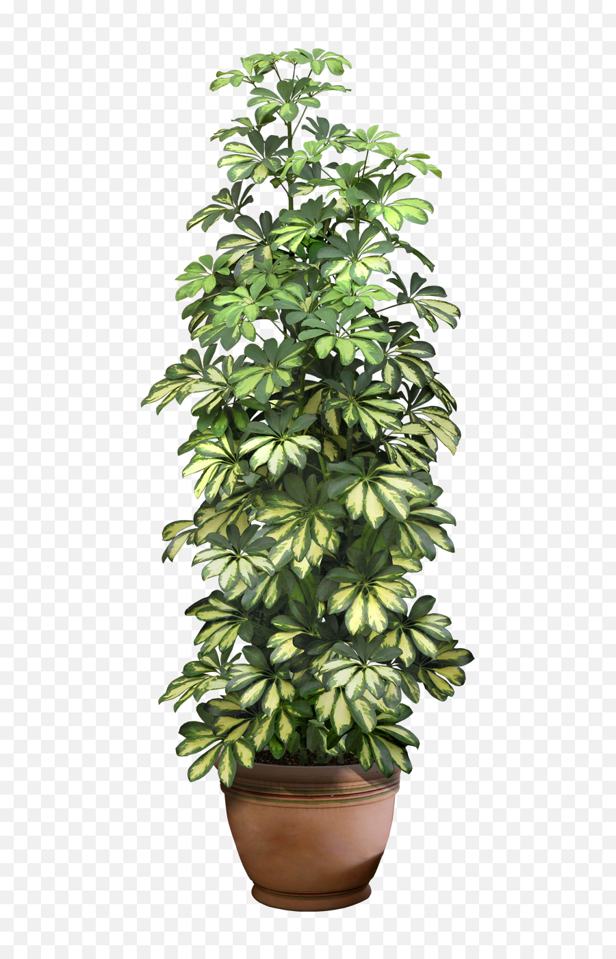 Download Hd 0 9ddb1 5c7a292c Xxl - Pot Plant Transparent Png Format Flower Pot Png,Plant Transparent Background