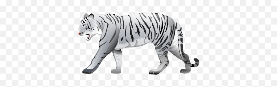 Download White Tiger Free Png Transparent Image And Clipart - Bangal Tiger Black And White,Tiger Transparent