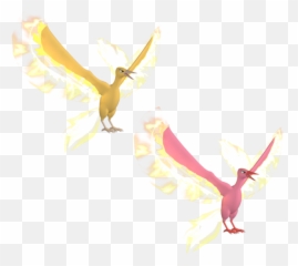 Moltres Free 3d Model - Flock Png,Moltres Png