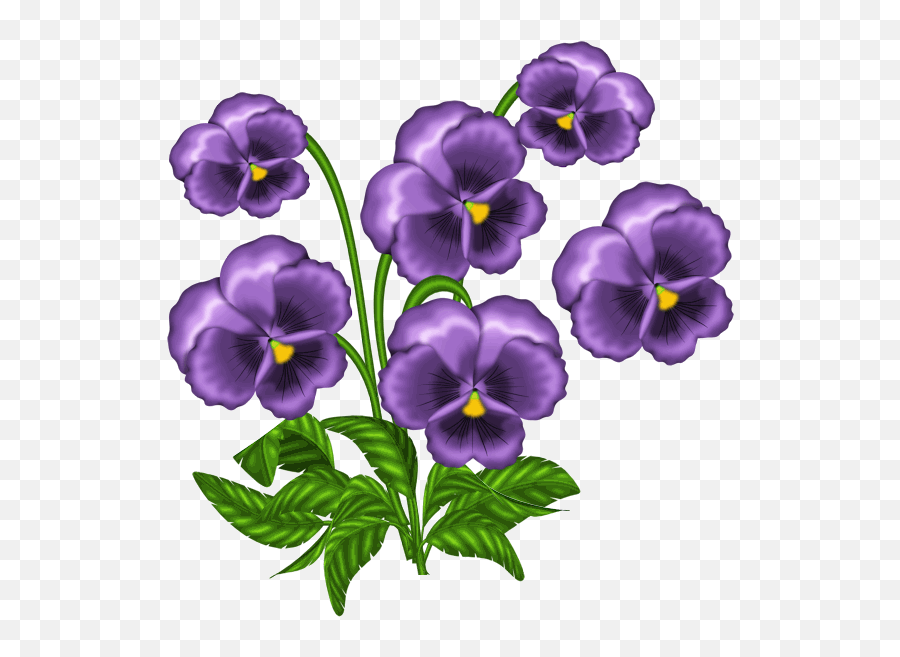 African Violets Clipart - African Violet Png,Violets Png